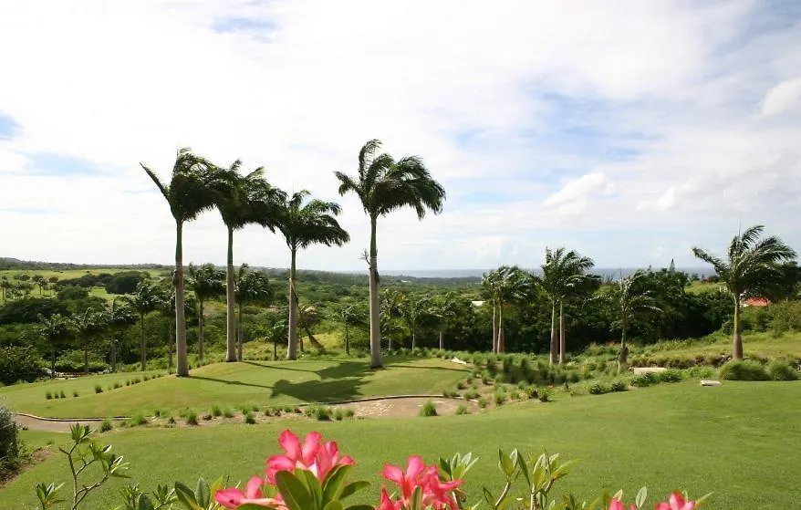 Coconut Grove 8 Luxury Villa By Island Villas Saint James Barbados